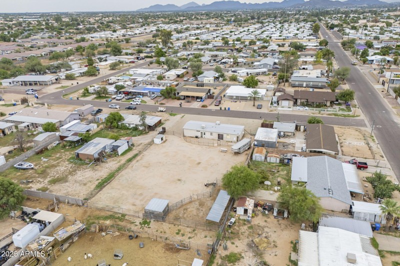 42-web-or-mls-Tonto-42