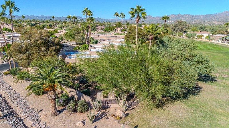 Sheltered from harsh sun