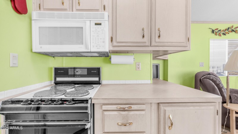 3710 S Goldfield Rd Lot 196 (7)