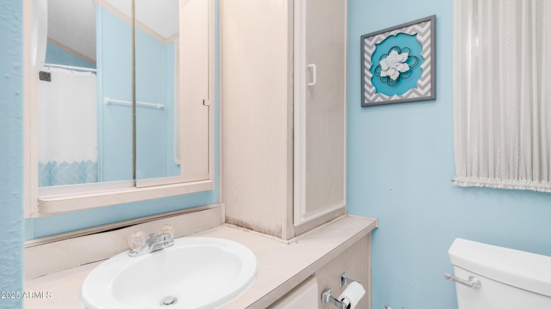 3710 S Goldfield Rd Lot 196 (10)