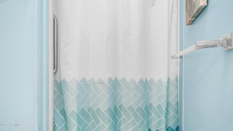 3710 S Goldfield Rd Lot 196 (11)