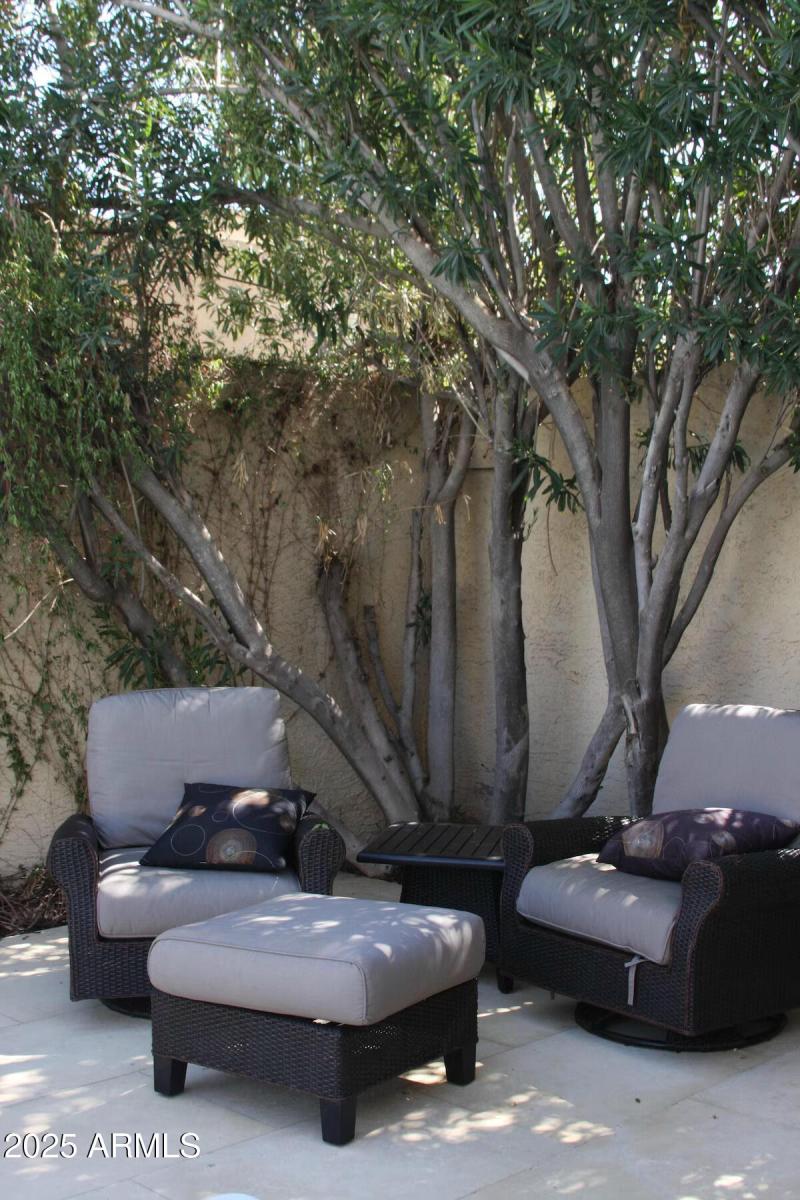 Backyard Sitting Area