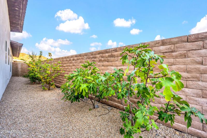 14315 E Harmony Ln-58