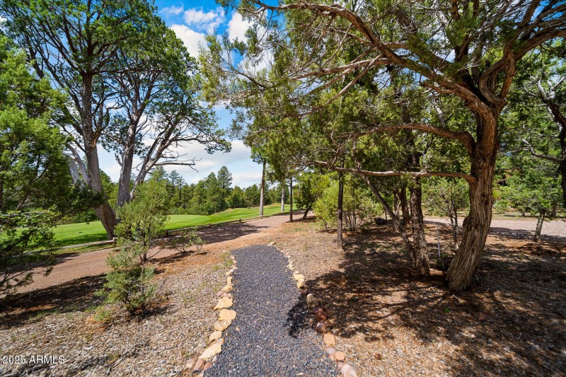 Walking path to Course