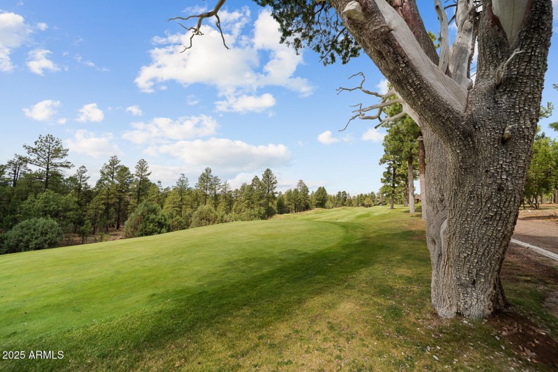 Just bring your Clubs