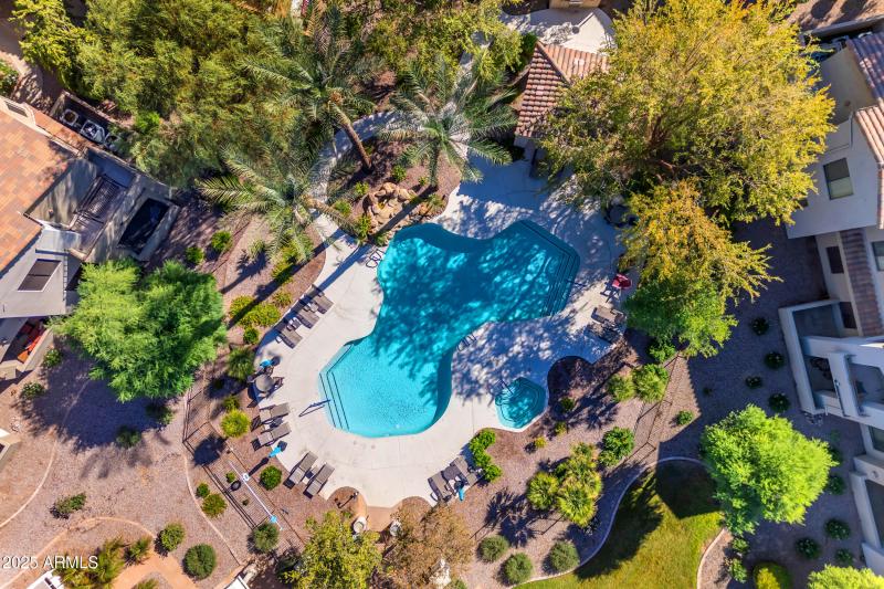 Legacy Community Pool and Spa