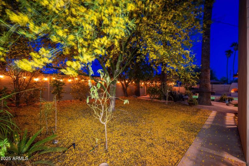 2712 E Mountain View Rd - 64