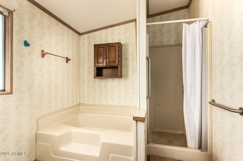 Primary Bath with Tub and Shower