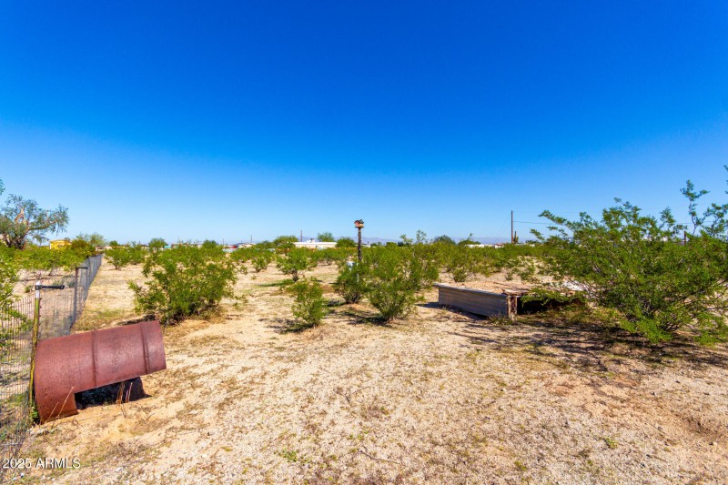 Expansive Desert Landscape