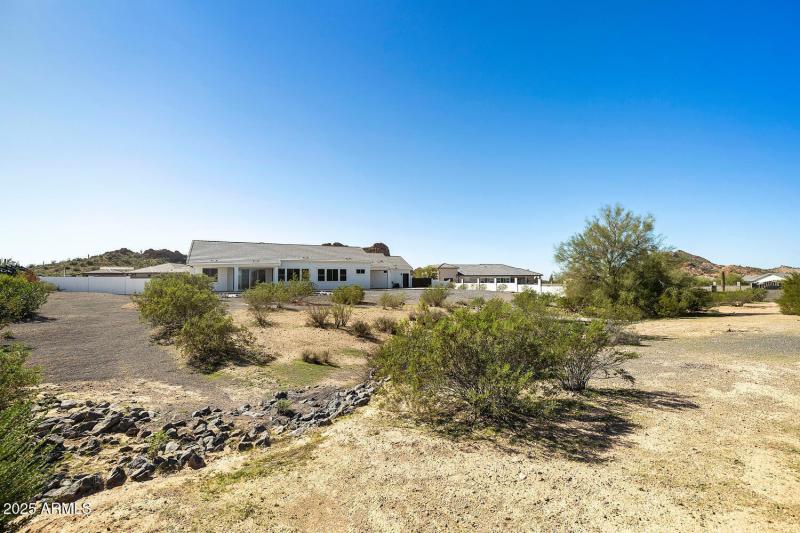 Natural Desert landscaping