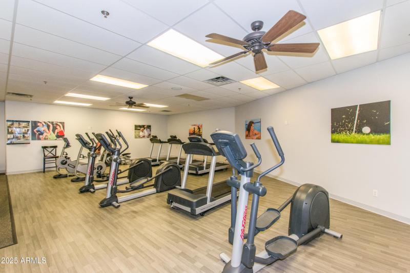33 Community Gym