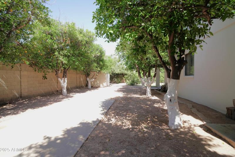 Sideyard w/RV hookups