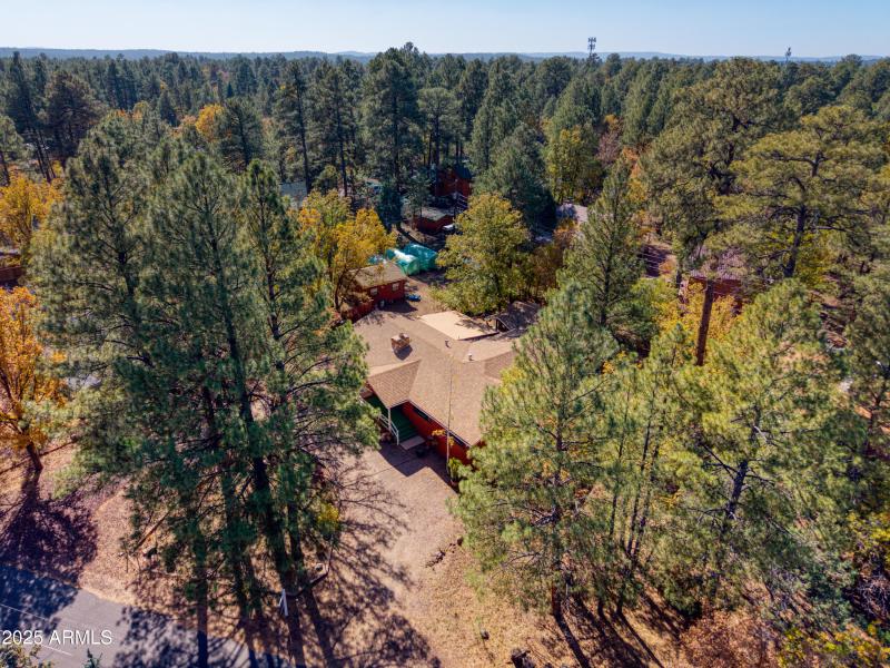 Paxmanphoto_DJI_20251029124154_0017_D