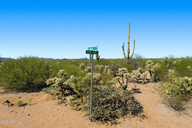 11-web-or-mls-011_ListerPros