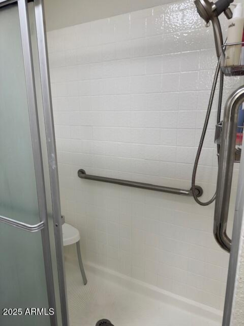 Primary Walk-In Shower
