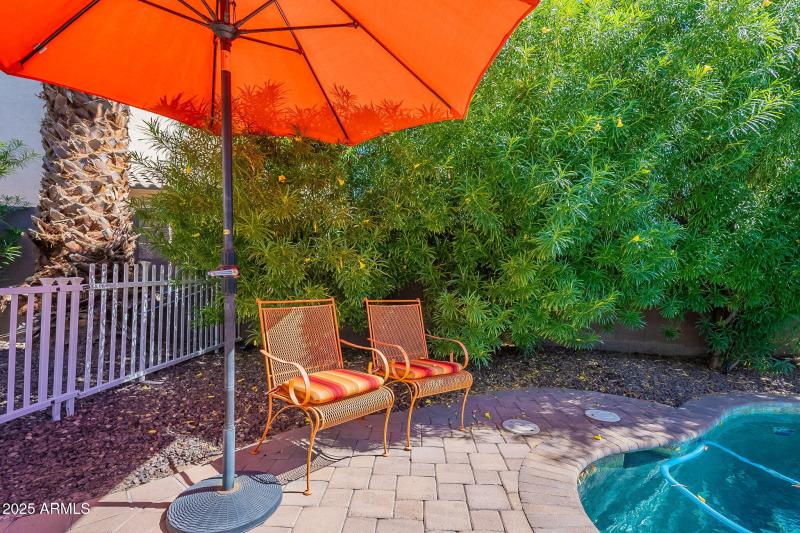 61-web-or-mls-Port-61