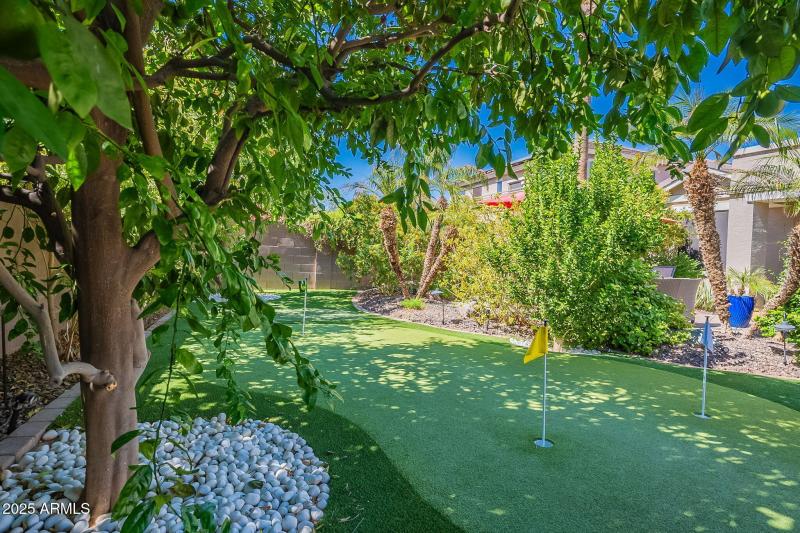 64-web-or-mls-Port-64