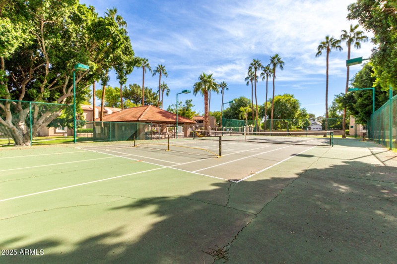 Pickleball and Tennis