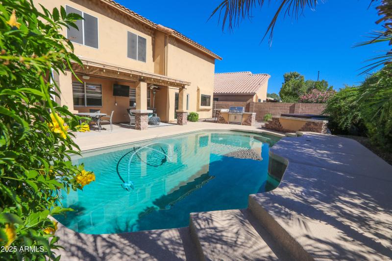 Entertainer's Backyard