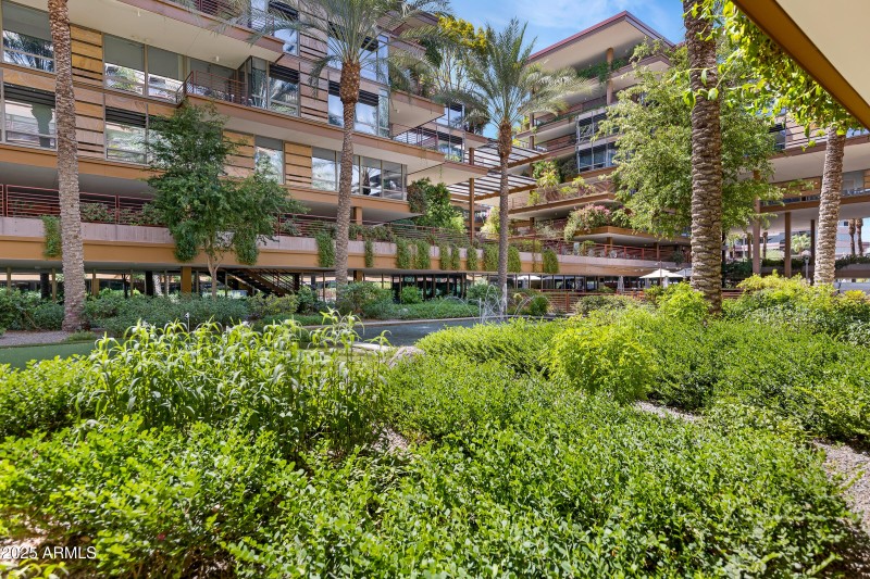 Optima Camelview Community-14