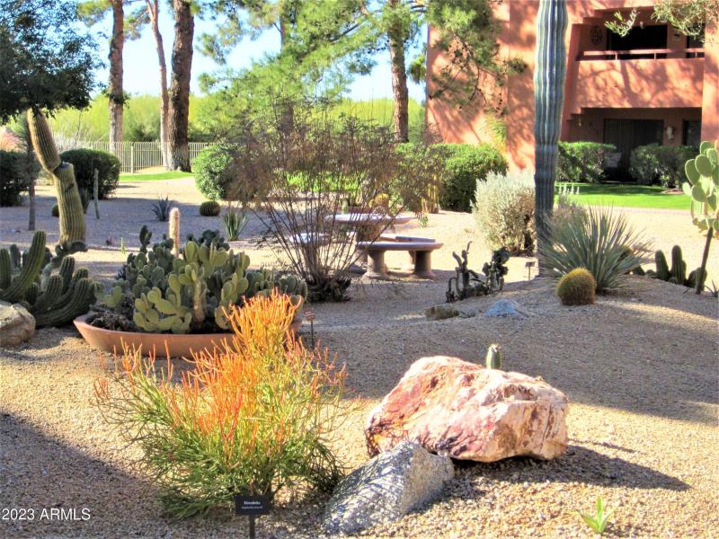 COLORFUL AND RELAXING