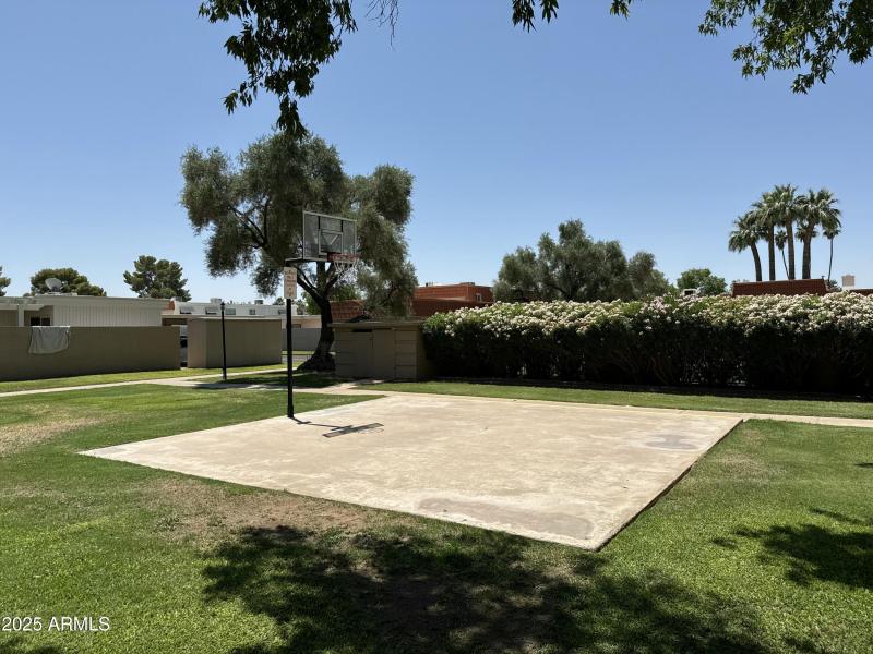 Basketball Court
