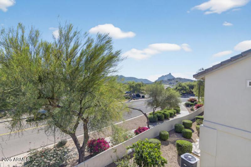 134065095571856472_134065095452418198_12