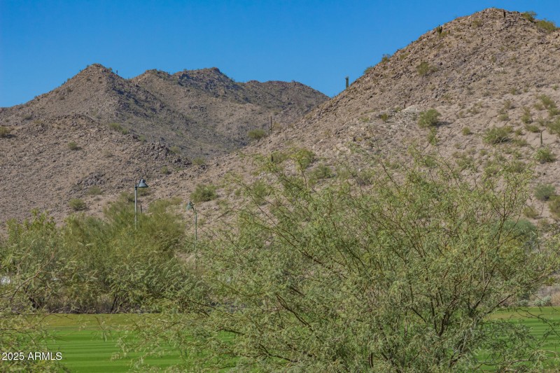 MILLION $ BACKYARD VIEWS (1)