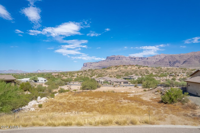 24 - Dianna #23 Drone