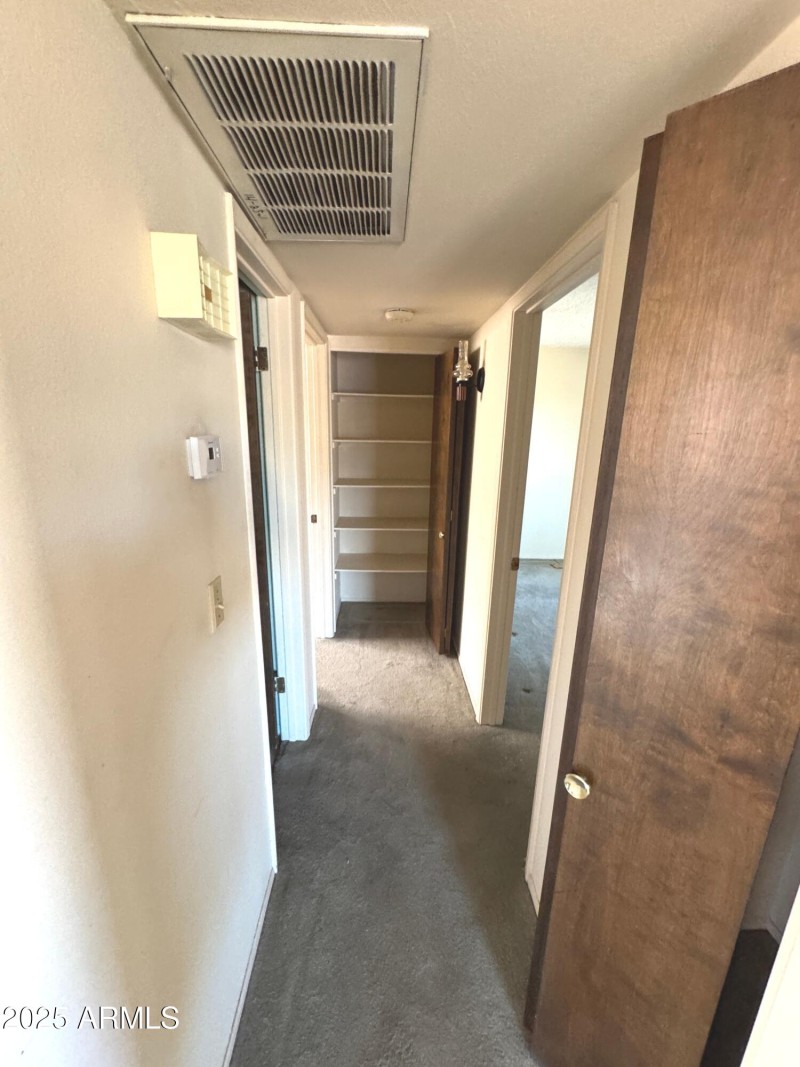 Foto 10-31-25, 1 46 12 pm