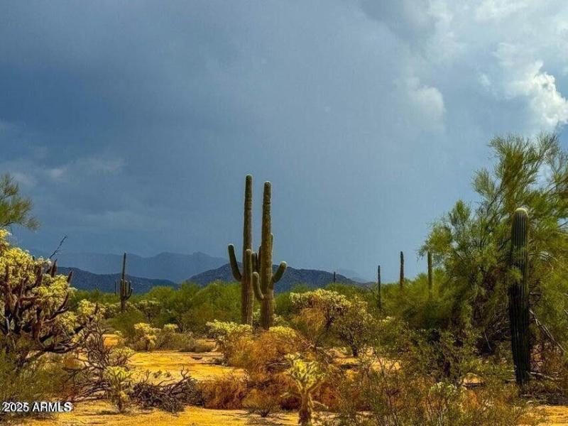 20251018022407114288000000-o