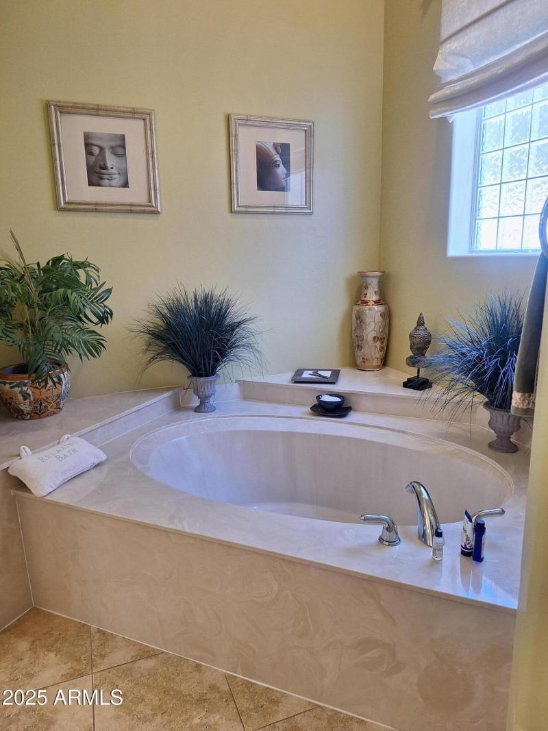 Primary Bathroom gorgeous tub