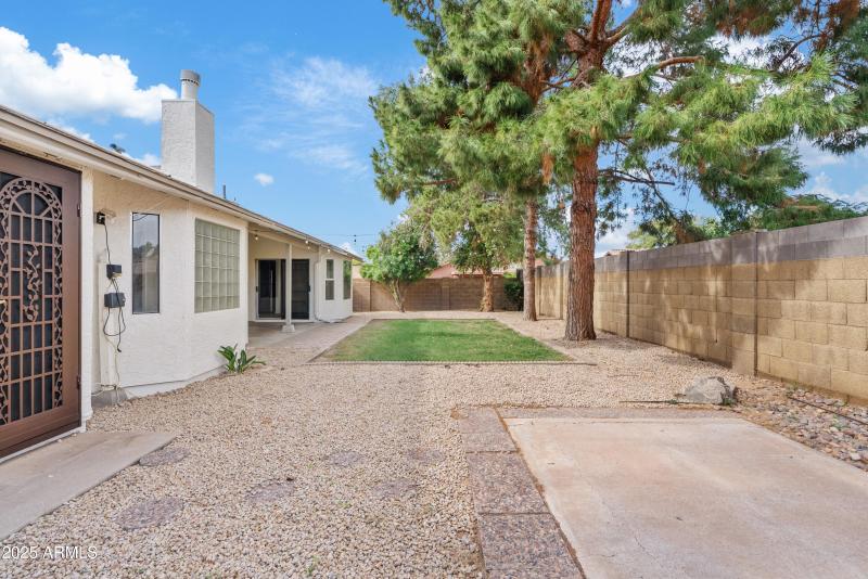 Mature Trees & Real Grass