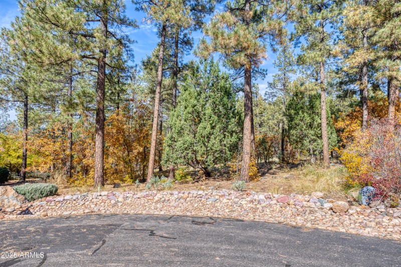 2189 CREEKSIDE CT 19, Pinetop, AZ 85935