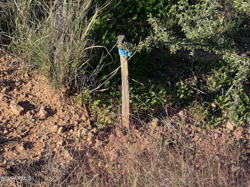 Electric conduit marker