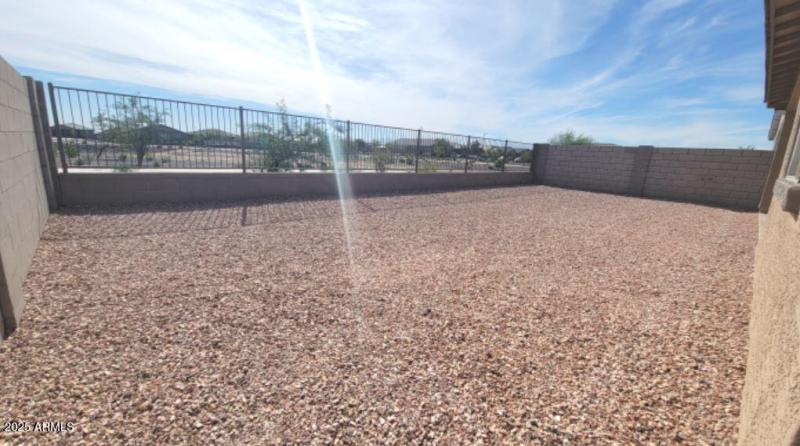 Honeysuckle Backyard 2