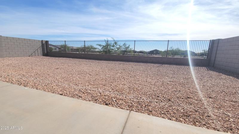 Honeysuckle Backyard 1