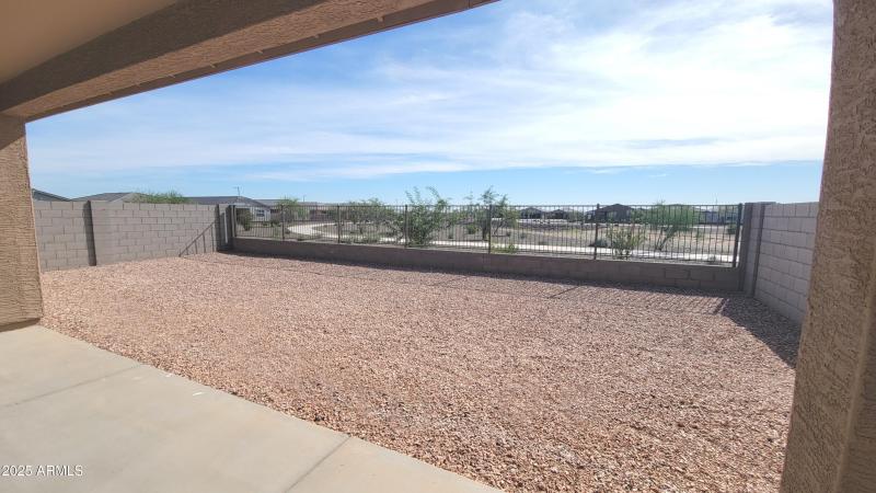 Honeysuckle Backyard