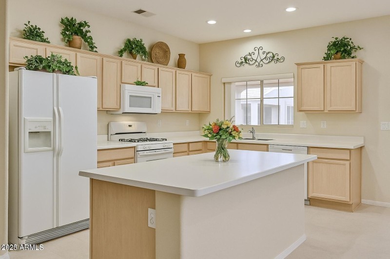 23106 N 146th Kitchen Modified