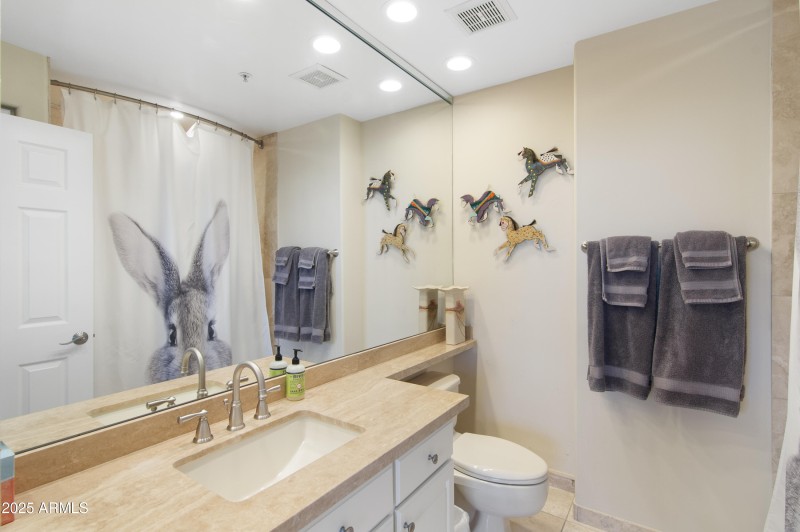 Guest Bath is Lovely