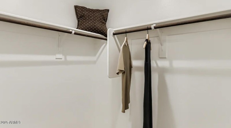 Owners Walk in Closet