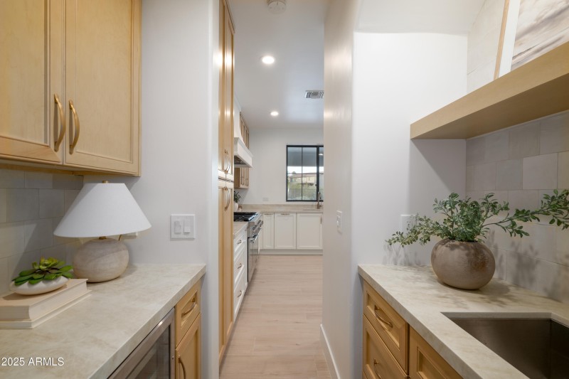 Wine bar and additional sink