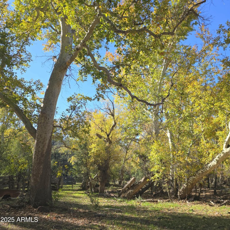 Aut Sycamore Grove twd Corrals