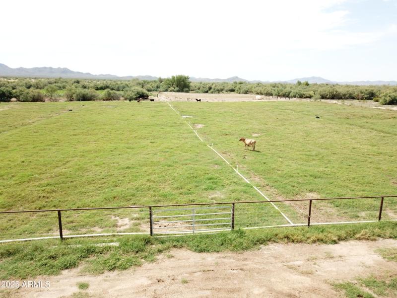 Pasture