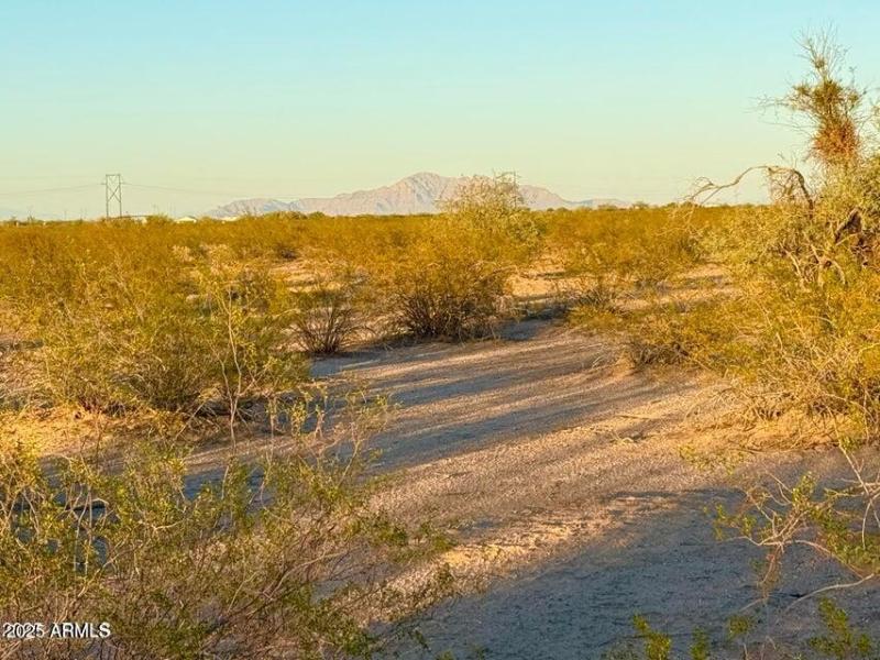 20251002061544424854000000-o (1)