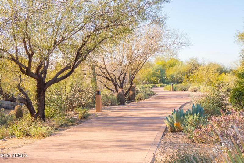 Path and Trail System 3