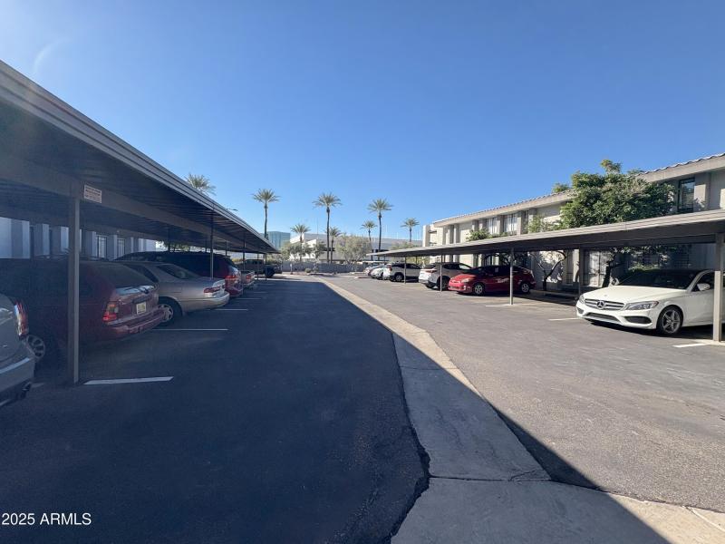 4-Image_20251105_072246_504