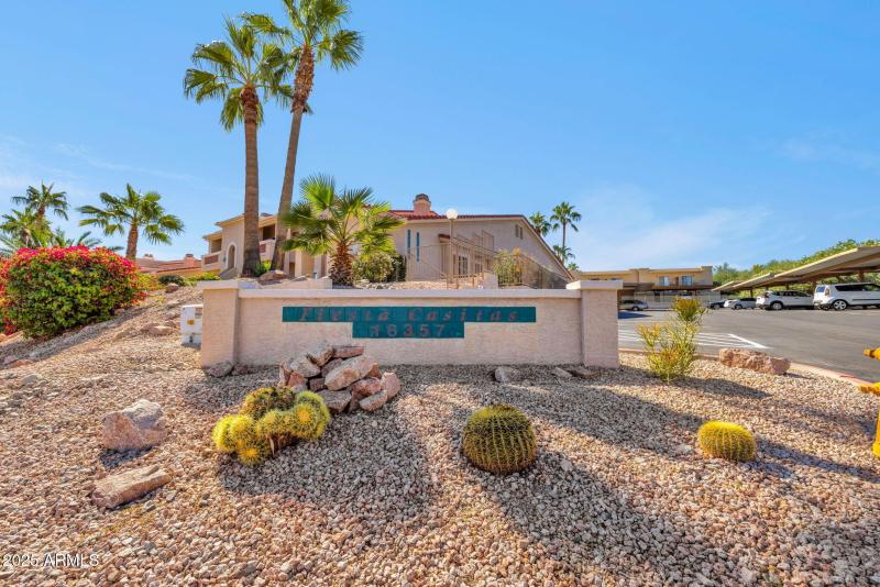 49-web-or-mls-322A8574