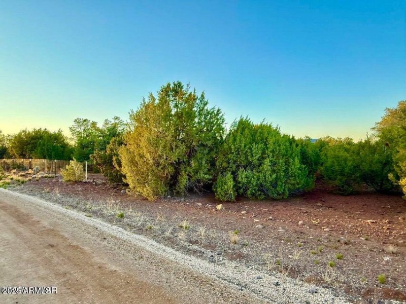 20251103234747919871000000-o