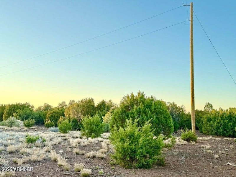 20251103234830418519000000-o